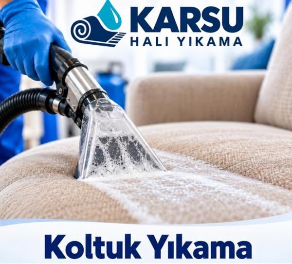 Koltuk Y�kama