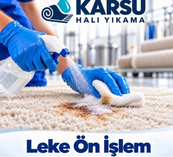 Leke �n ��lem